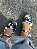 Cloe vaca  image 0