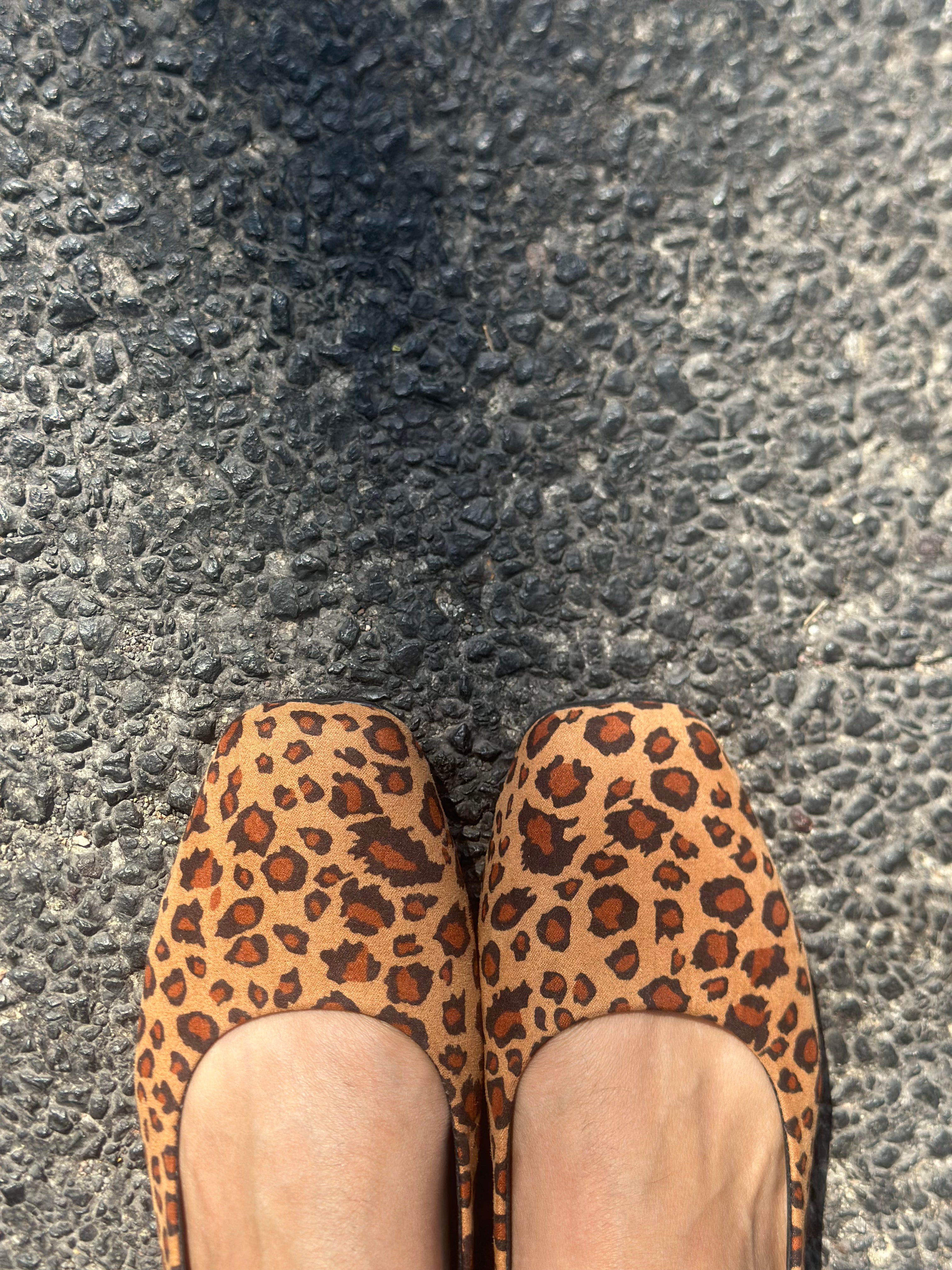 Cloe leopardo  image 2