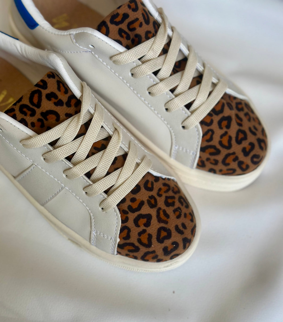 Meme latte leopardo image 1