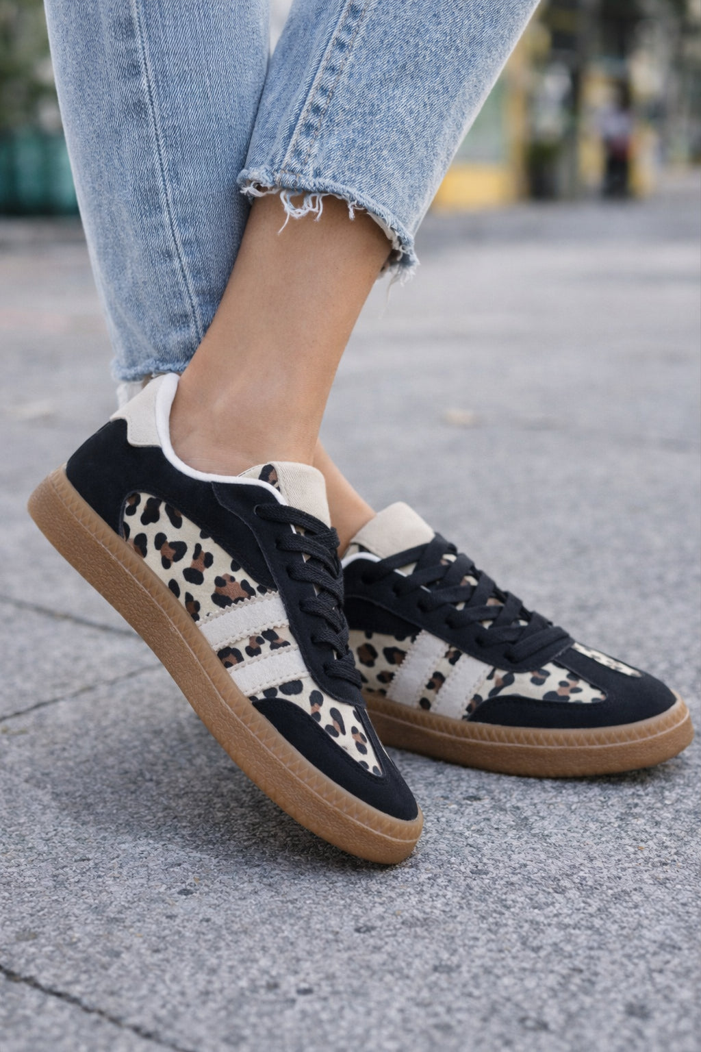 Samvipa leopardo negro  image 1