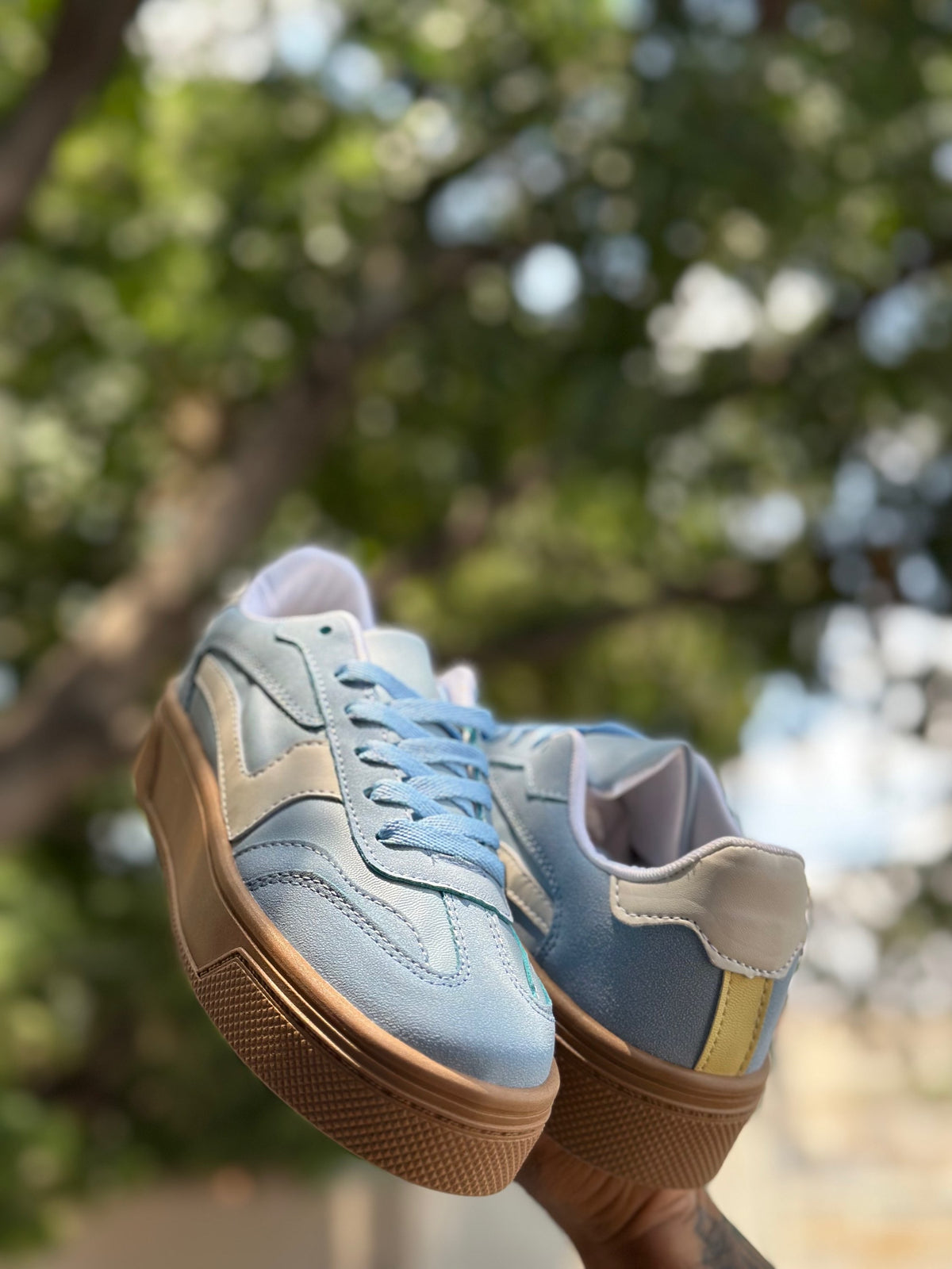 Magnolia azul  image 1
