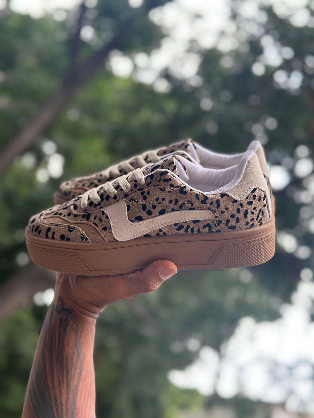 Magnolia cheetah image 0