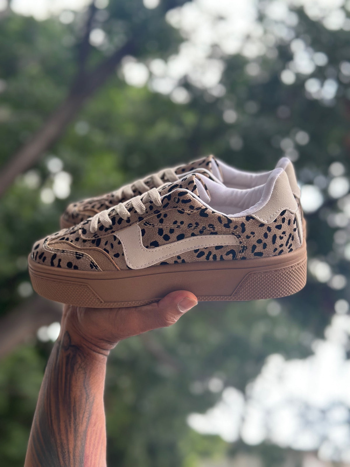 Magnolia cheetah image 0
