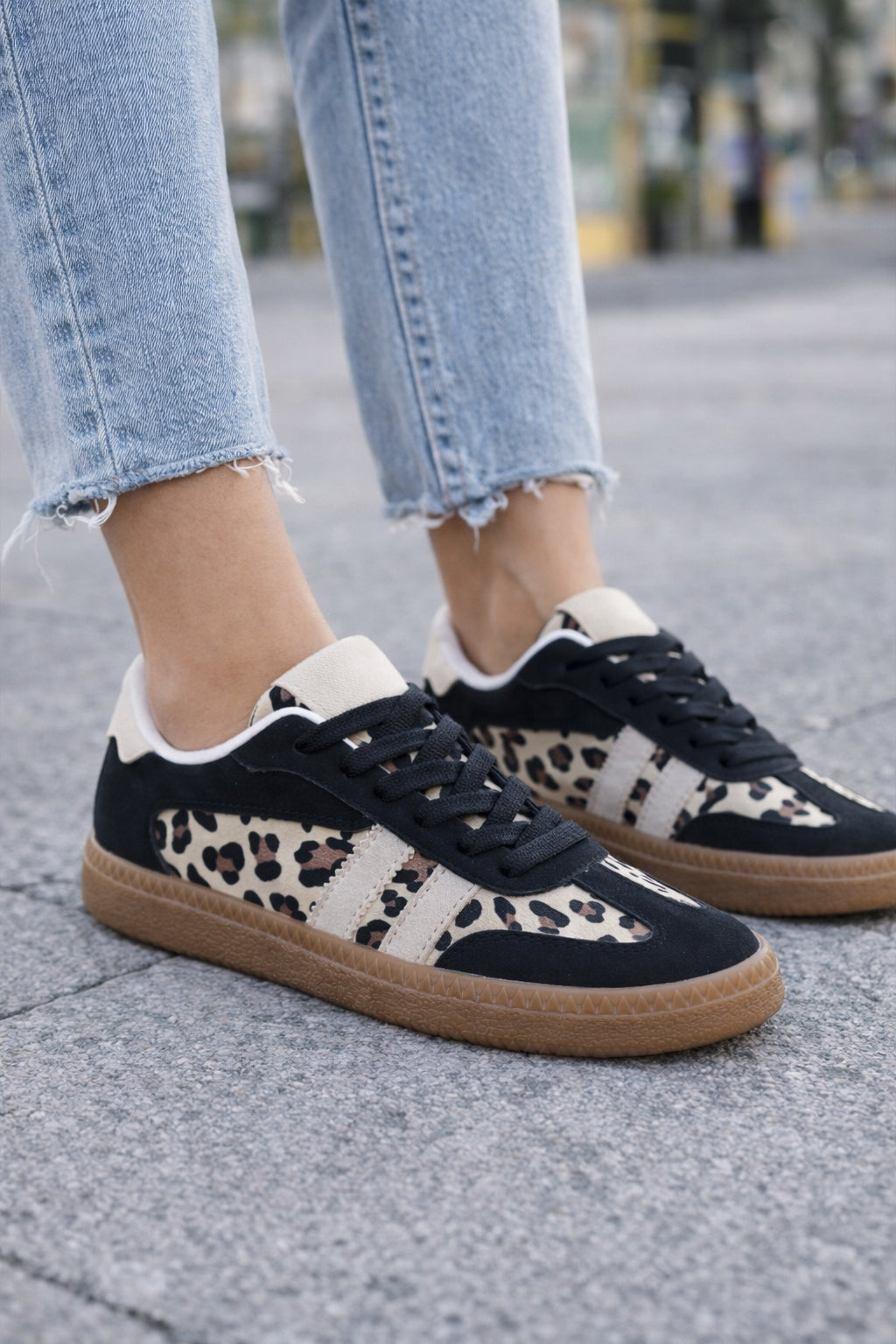 Samvipa leopardo negro  image 2
