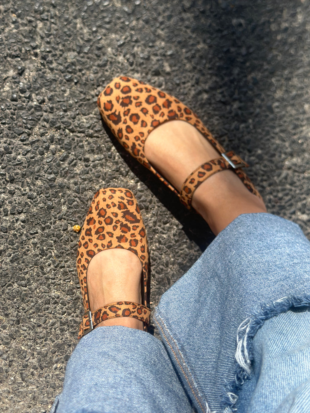 Cloe leopardo  image 0