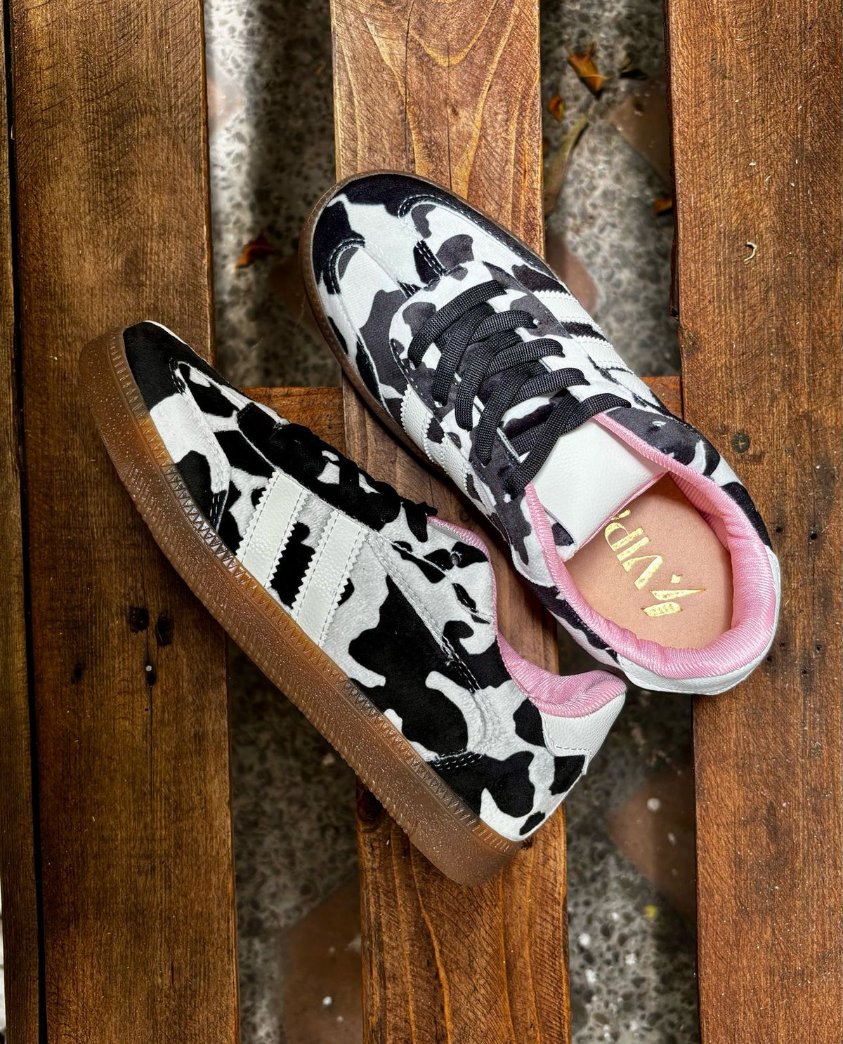 Samvipa vaca  image 0