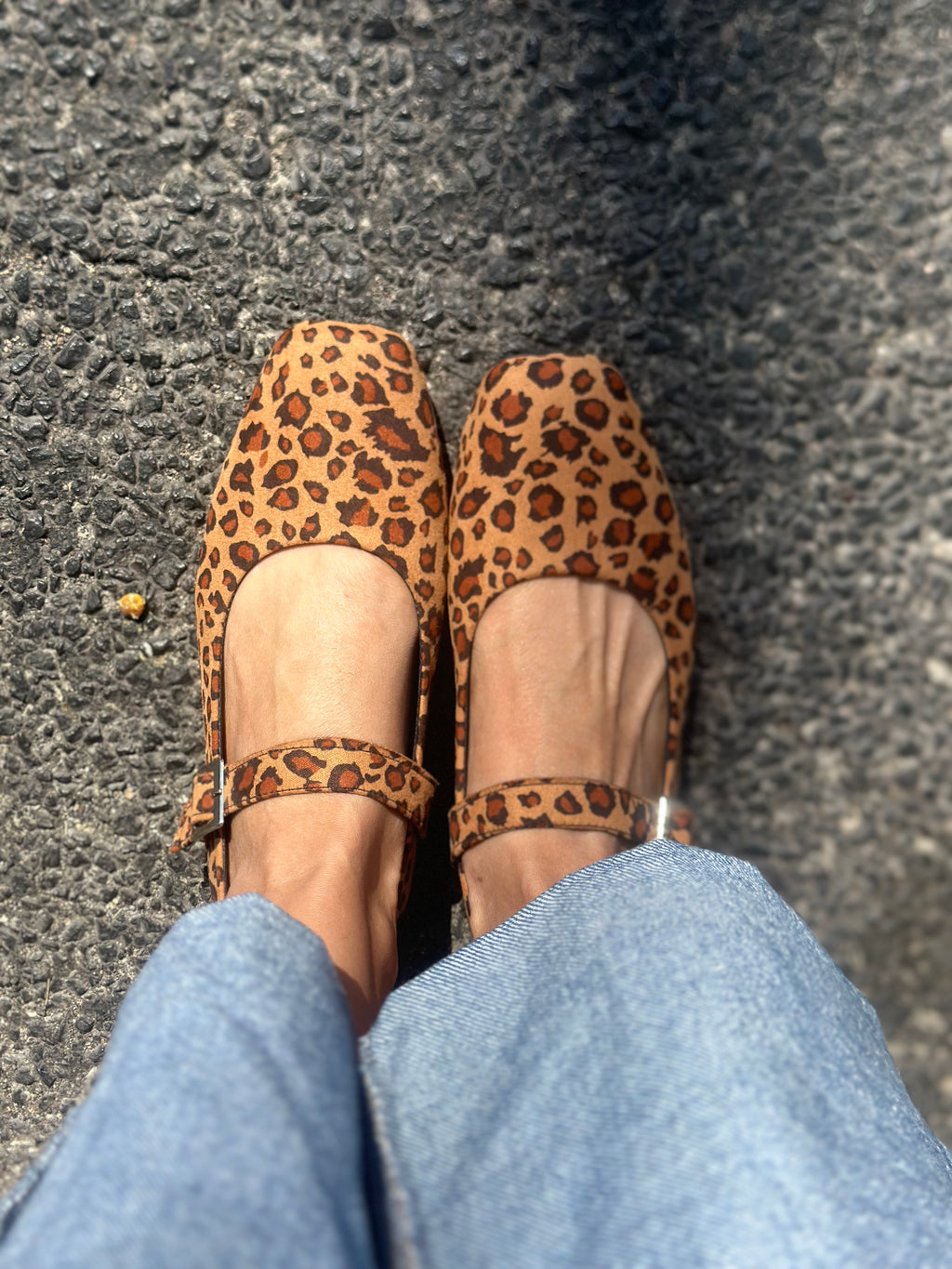 Cloe leopardo  image 1